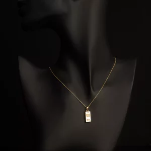 مدال شمش پشت توری2 6051